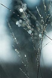 《近几灵务局》10月登陆Steam 除灵恐怖探险